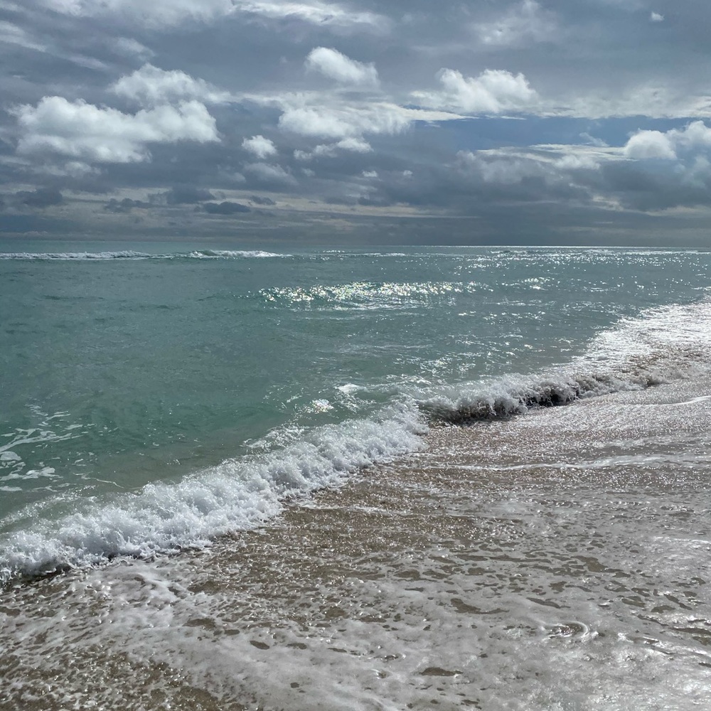 Meet your Posher, Allie